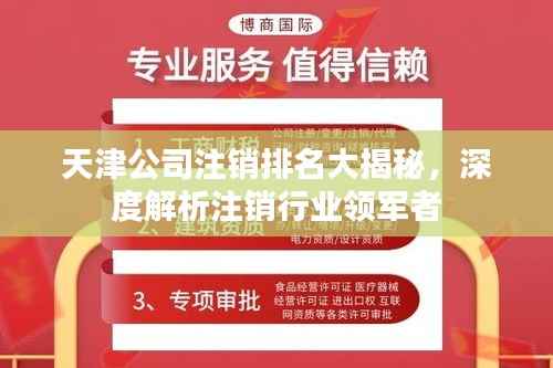 天津公司注销排名大揭秘，深度解析注销行业领军者