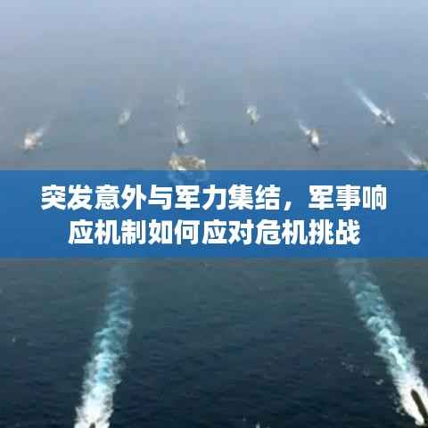 突发意外与军力集结,军事响应机制如何应对危机挑战