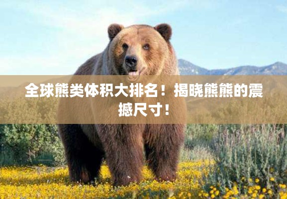 全球熊类体积大排名!揭晓熊熊的震撼尺寸!