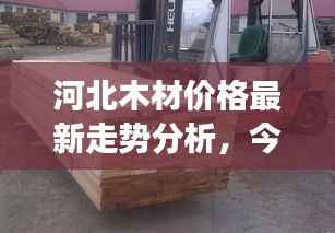 河北木材价格最新走势分析，今日市场动态揭秘