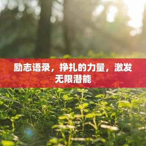 励志语录,挣扎的力量,激发无限潜能
