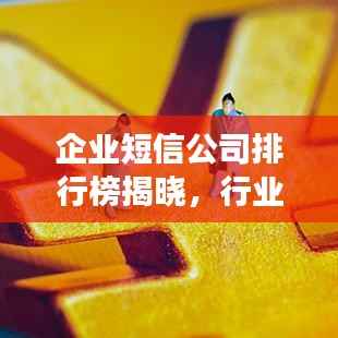 企业短信公司排行榜揭晓，行业影响力与竞争优势解析