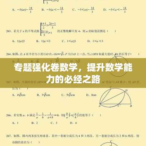 专题强化卷数学,提升数学能力的必经之路