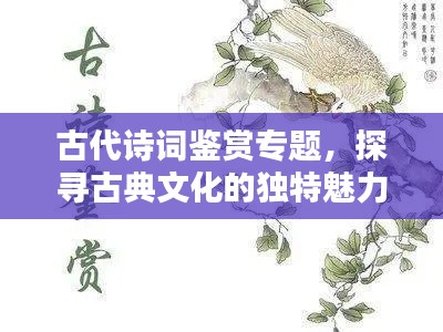 联系我们 第127页