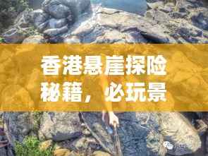 营销网络 第125页