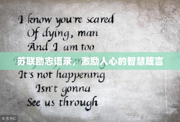 苏联励志语录,激励人心的智慧箴言