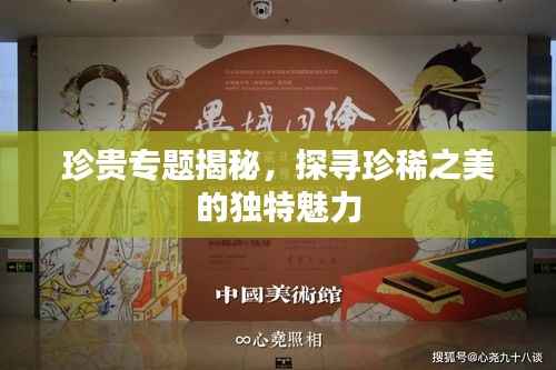 珍贵专题揭秘，探寻珍稀之美的独特魅力
