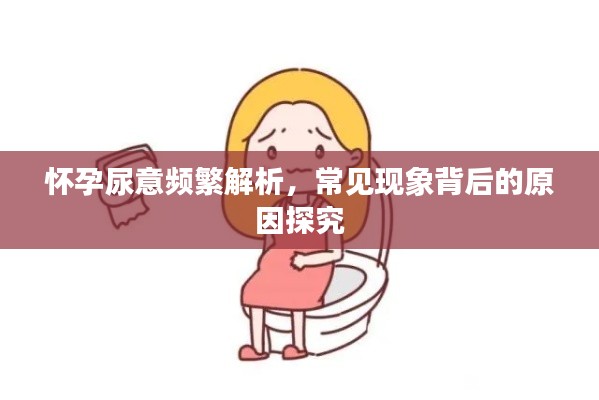 怀孕尿意频繁解析，常见现象背后的原因探究