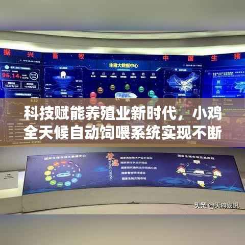 科技赋能养殖业新时代,小鸡全天候自动饲喂系统实现不断料喂养