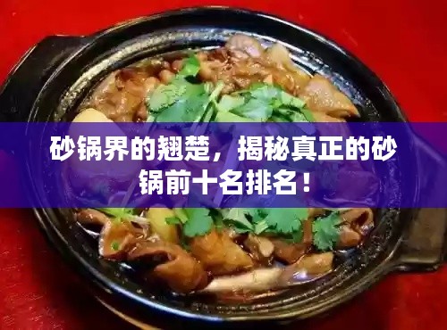 砂锅界的翘楚，揭秘真正的砂锅前十名排名！