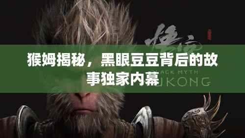 联系我们 第114页