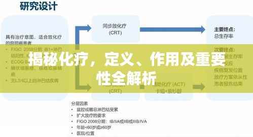 揭秘化疗,定义、作用及重要性全解析