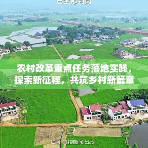农村改革重点任务落地实践，探索新征程，共筑乡村新篇章