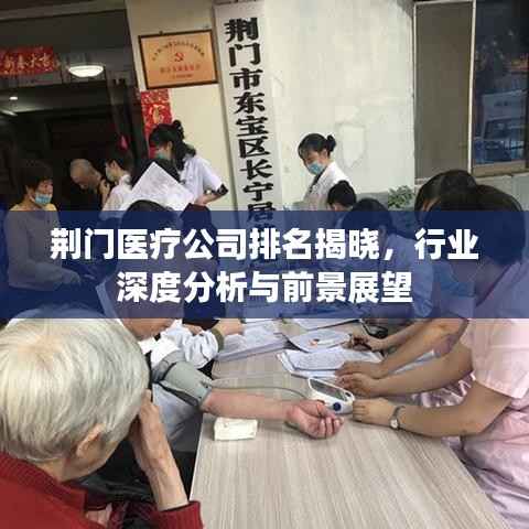 荆门医疗公司排名揭晓，行业深度分析与前景展望