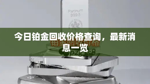 新闻中心 第115页