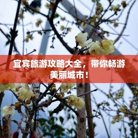 宜宾旅游攻略大全,带你畅游美丽城市!