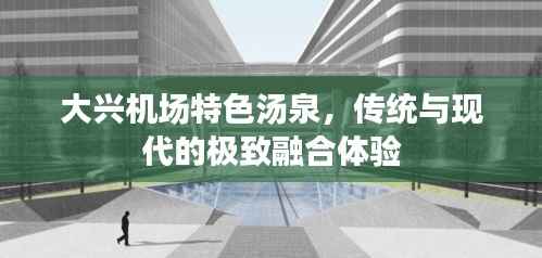 大兴机场特色汤泉,传统与现代的极致融合体验