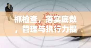 抓检查，落实底数，管理与执行力提升的核心策略