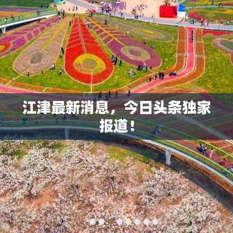 江津最新消息,今日头条独家报道!