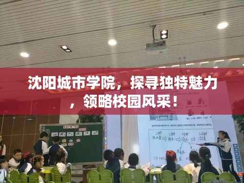 沈阳城市学院,探寻独特魅力,领略校园风采!