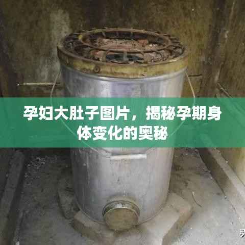 孕妇大肚子图片,揭秘孕期身体变化的奥秘