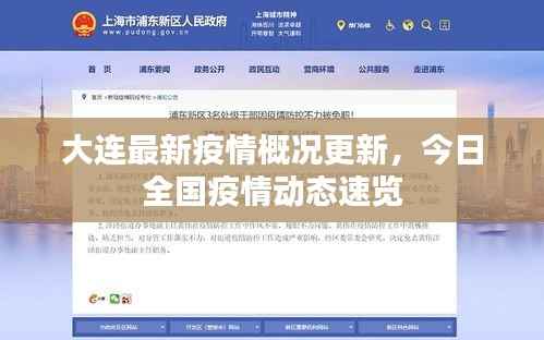 大连最新疫情概况更新,今日全国疫情动态速览