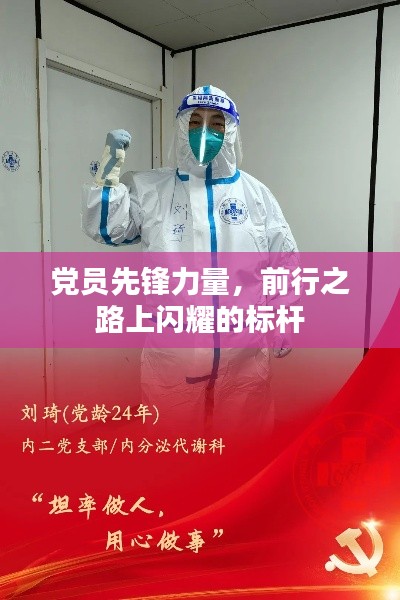 党员先锋力量,前行之路上闪耀的标杆