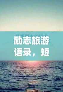 营销网络 第90页