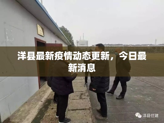 洋县最新疫情动态更新,今日最新消息