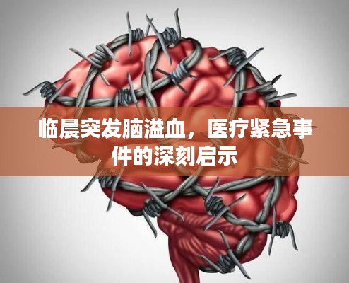 临晨突发脑溢血,医疗紧急事件的深刻启示