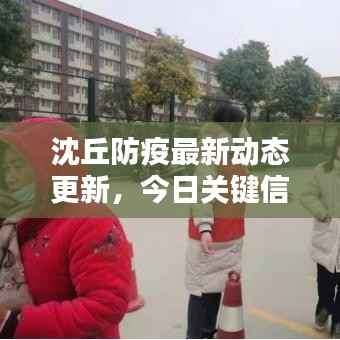 沈丘防疫最新动态更新，今日关键信息一网打尽