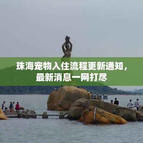 珠海宠物入住流程更新通知,最新消息一网打尽