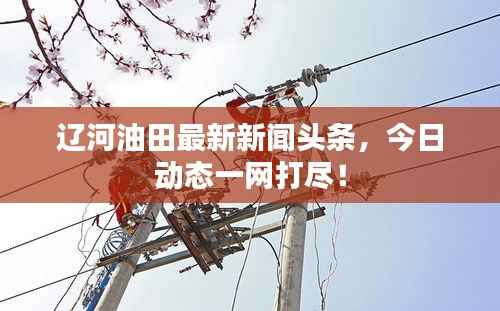 辽河油田最新新闻头条,今日动态一网打尽!