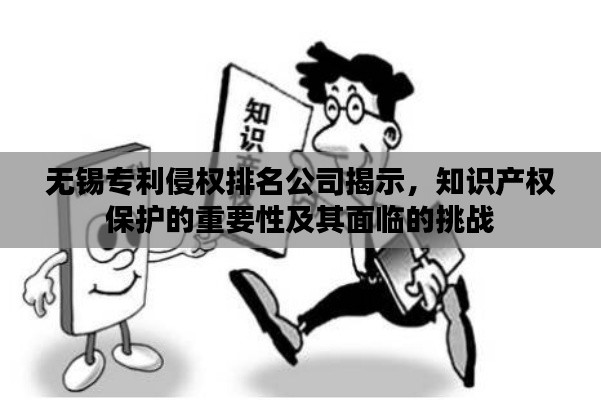 无锡专利侵权排名公司揭示，知识产权保护的重要性及其面临的挑战
