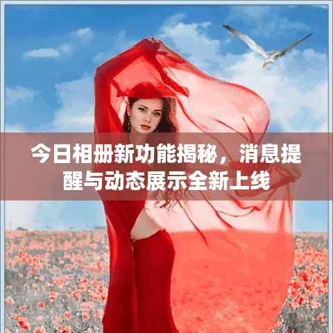 百年不遇