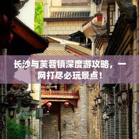 营销网络 第69页