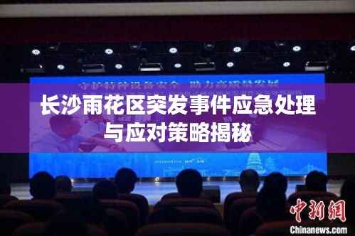 新闻中心 第74页