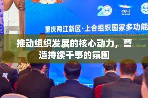 推动组织发展的核心动力，营造持续干事的氛围