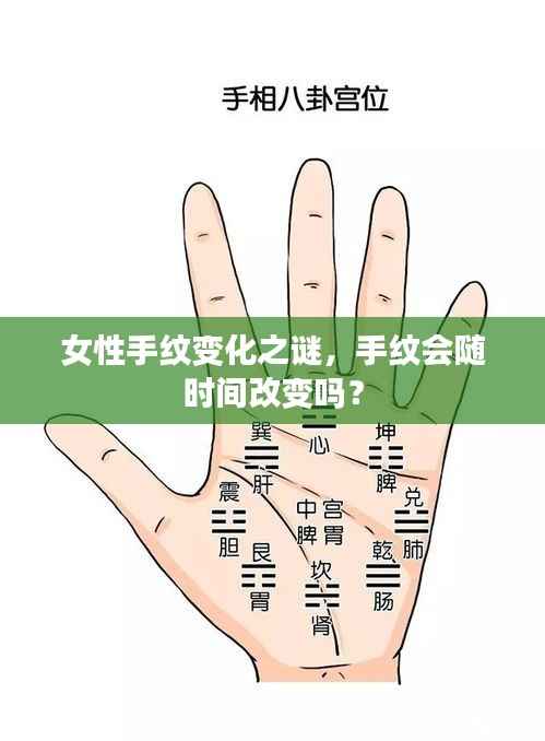 女性手纹变化之谜,手纹会随时间改变吗?